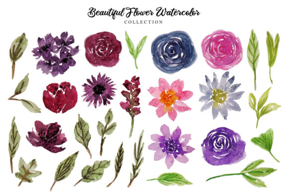 Flower Watercolor Collection