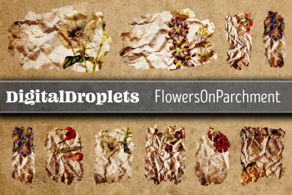 Flowers on Parchment Brush Strokes V2